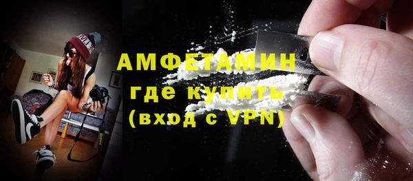 твердый Инсар