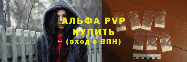 твердый Инсар