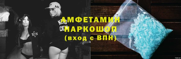твердый Инсар