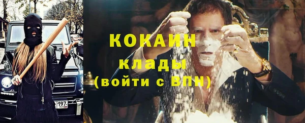 твердый Инсар