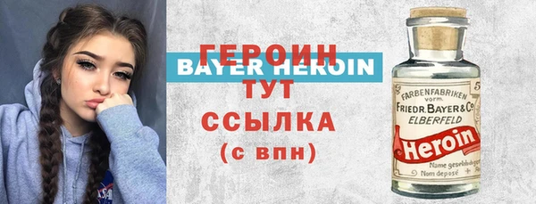 твердый Инсар