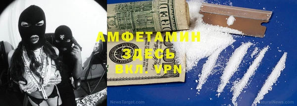 твердый Инсар