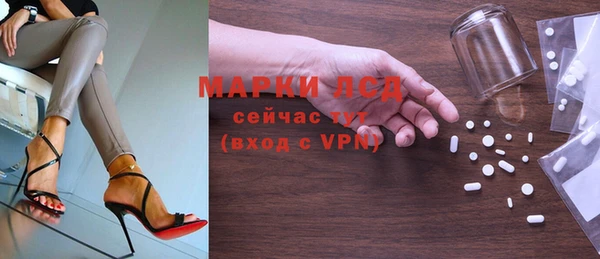 твердый Инсар