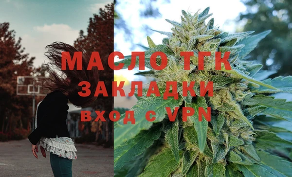 твердый Инсар