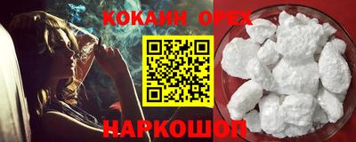 МДПВ Кингисепп