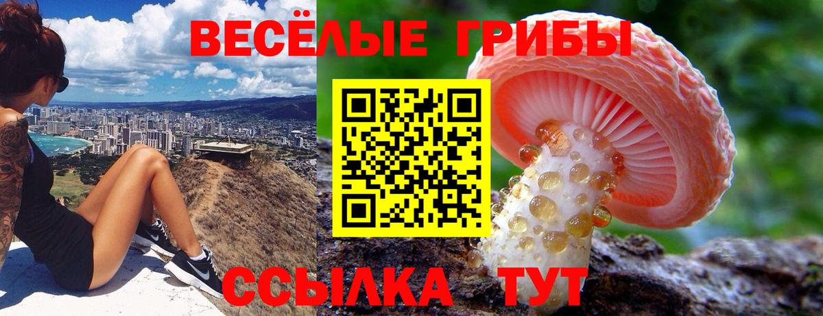 Курск  Галлюциногенные грибы мицелий  Вход с VPN  закладка  Псилоцибиновые грибы Magic Shrooms 